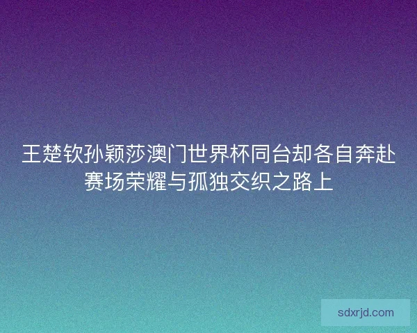 王楚钦孙颖莎澳门世界杯同台却各自奔赴赛场荣耀与孤独交织之路上